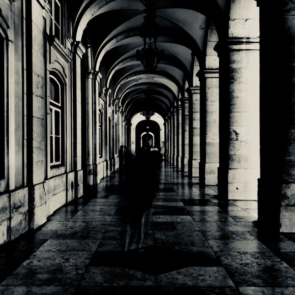 Meet your Posher, Adam - Picture 1 of 1